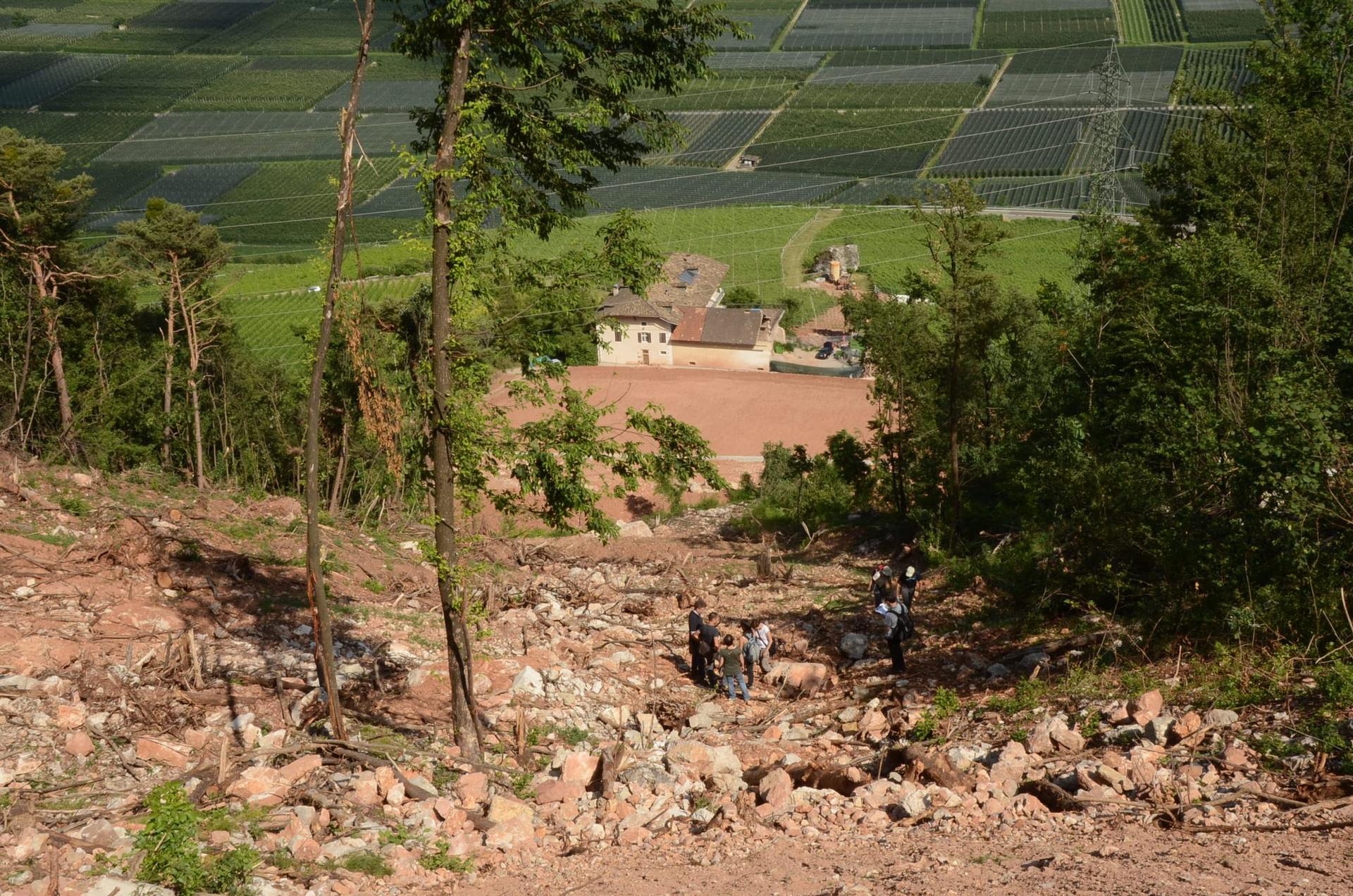 ecorisQ rockfall field course