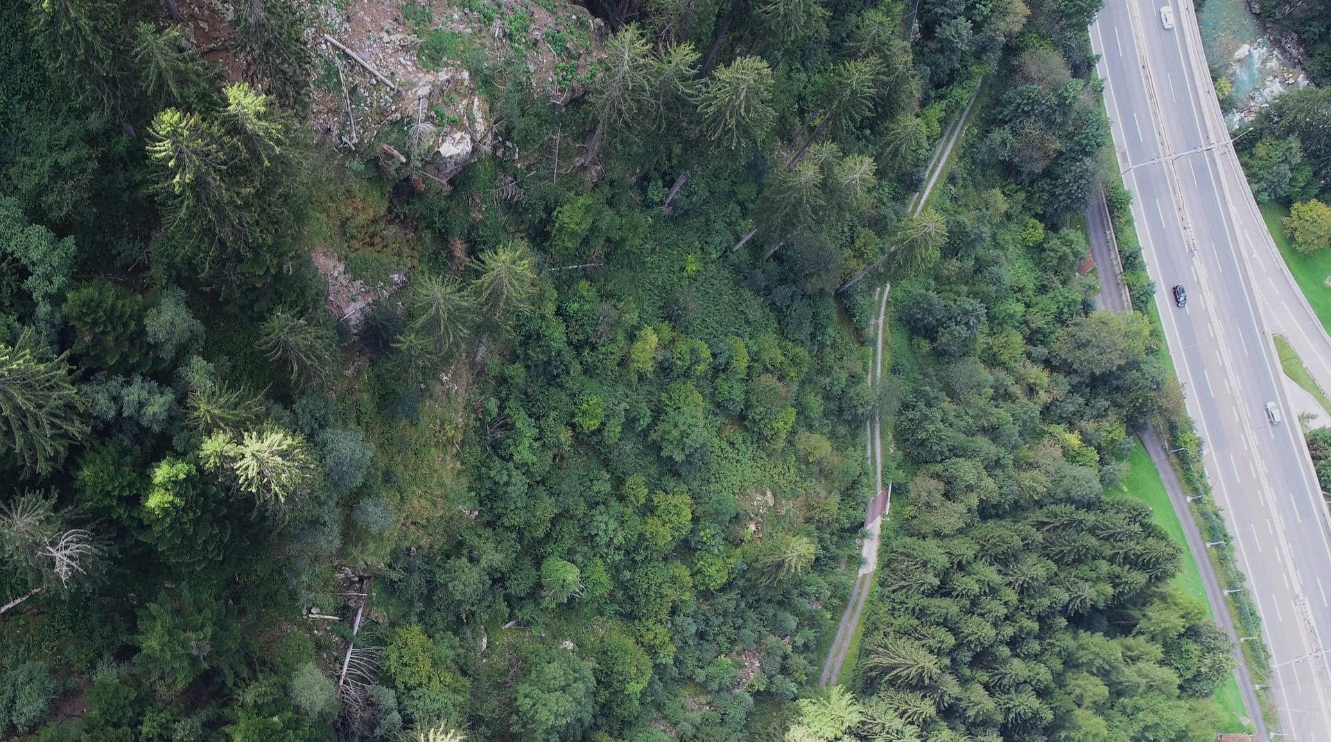 An aerial view of a protective mountain forest beside a road